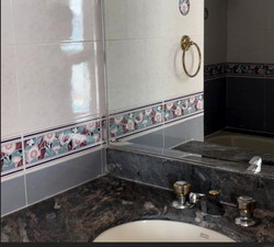 Emerald Park (D3), Condominium #542199091